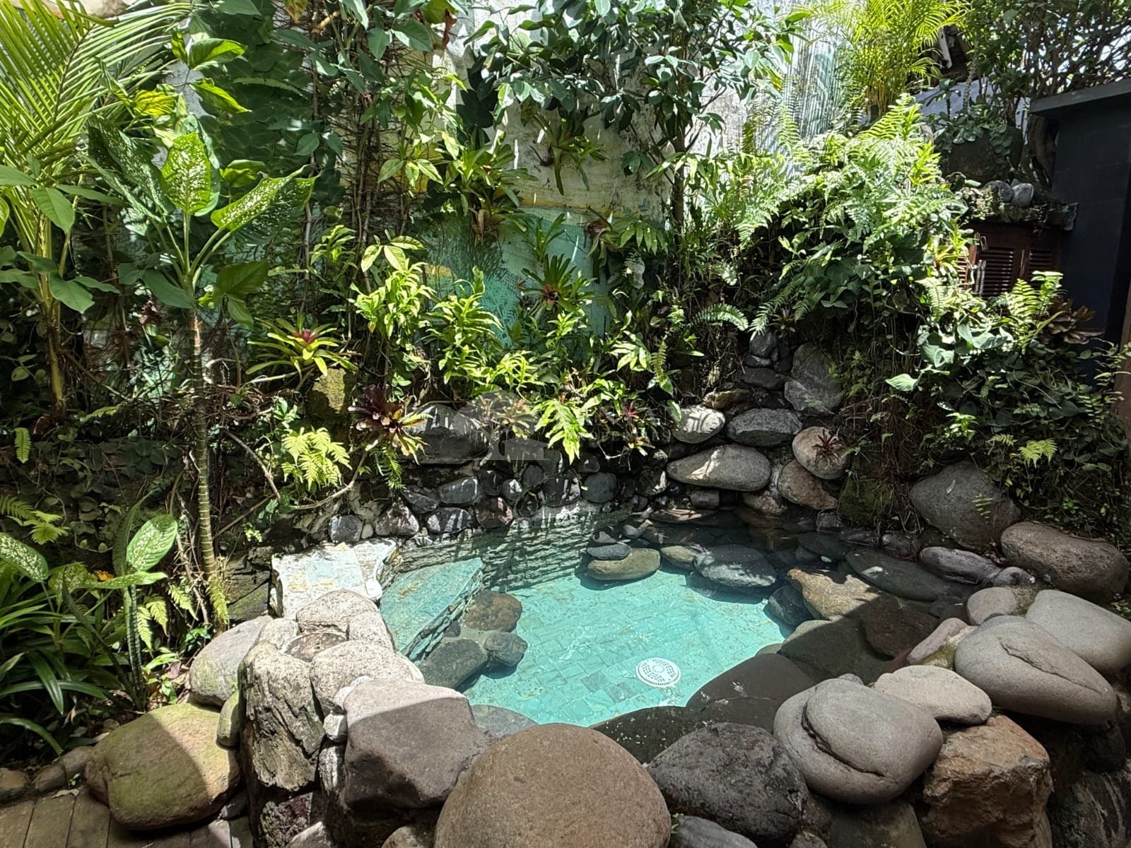 Butterfly Bungalow — photo 2 of 16
