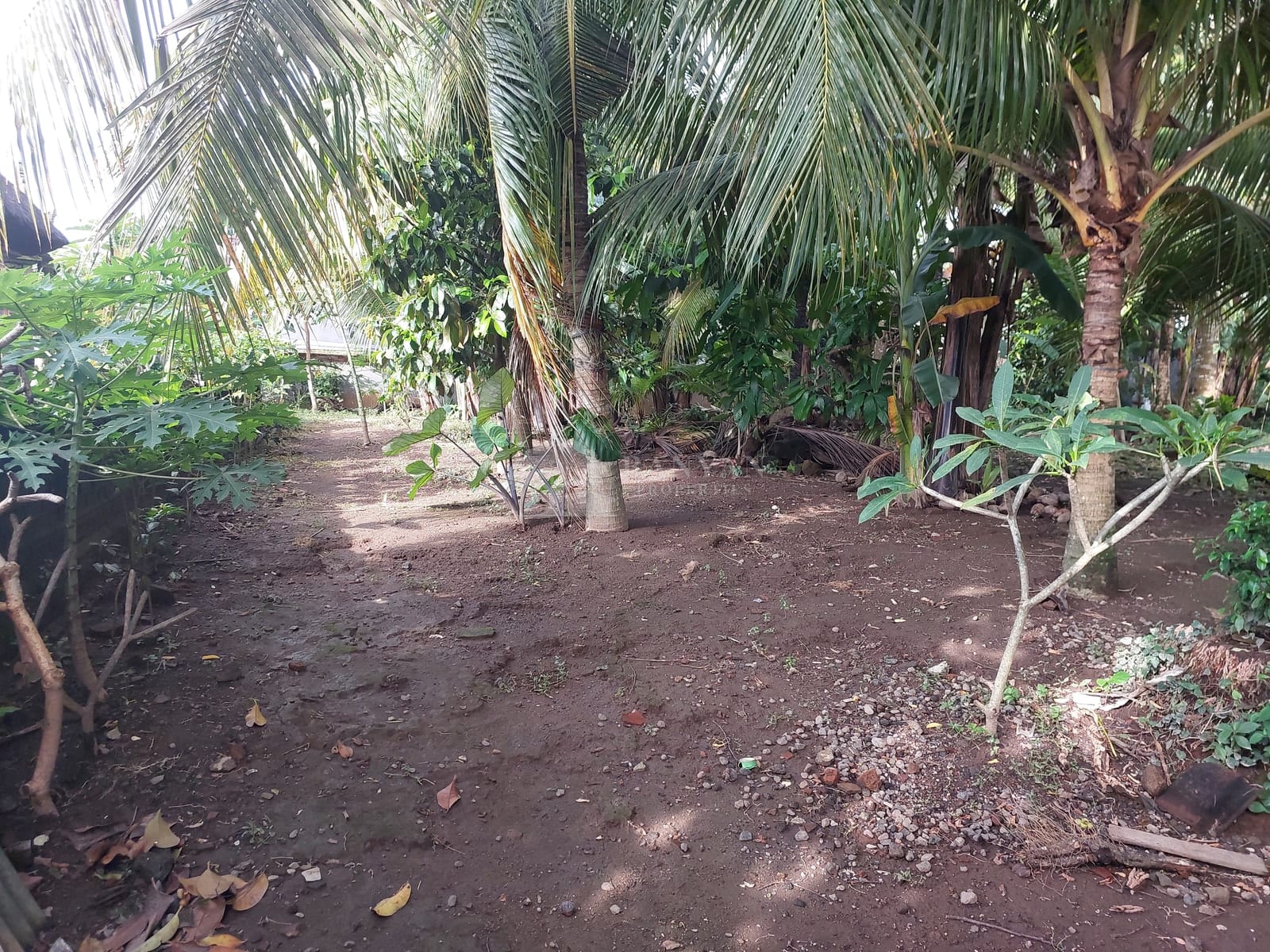 15 are Singakerta Warung Tipat - Flexible 15 Are Land for Leasehold in Singakerta