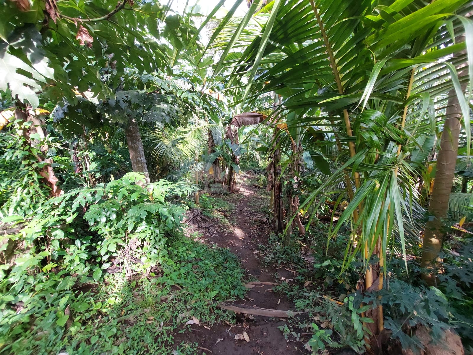 15 are Singakerta Warung Tipat - Flexible 15 Are Land for Leasehold in Singakerta — photo 2 of 5