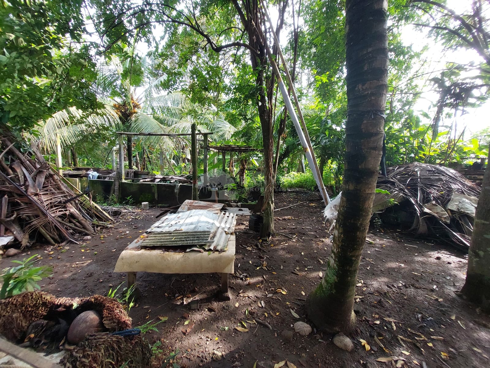 15 are Singakerta Warung Tipat - Flexible 15 Are Land for Leasehold in Singakerta — photo 3 of 5