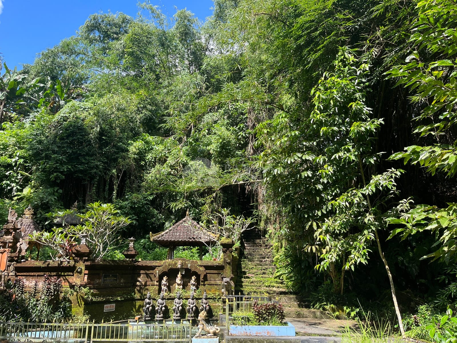 6 are Sayan (back of water temple / Turner land) - 6 are in Sayan located near a Water Temple — photo 3 of 5