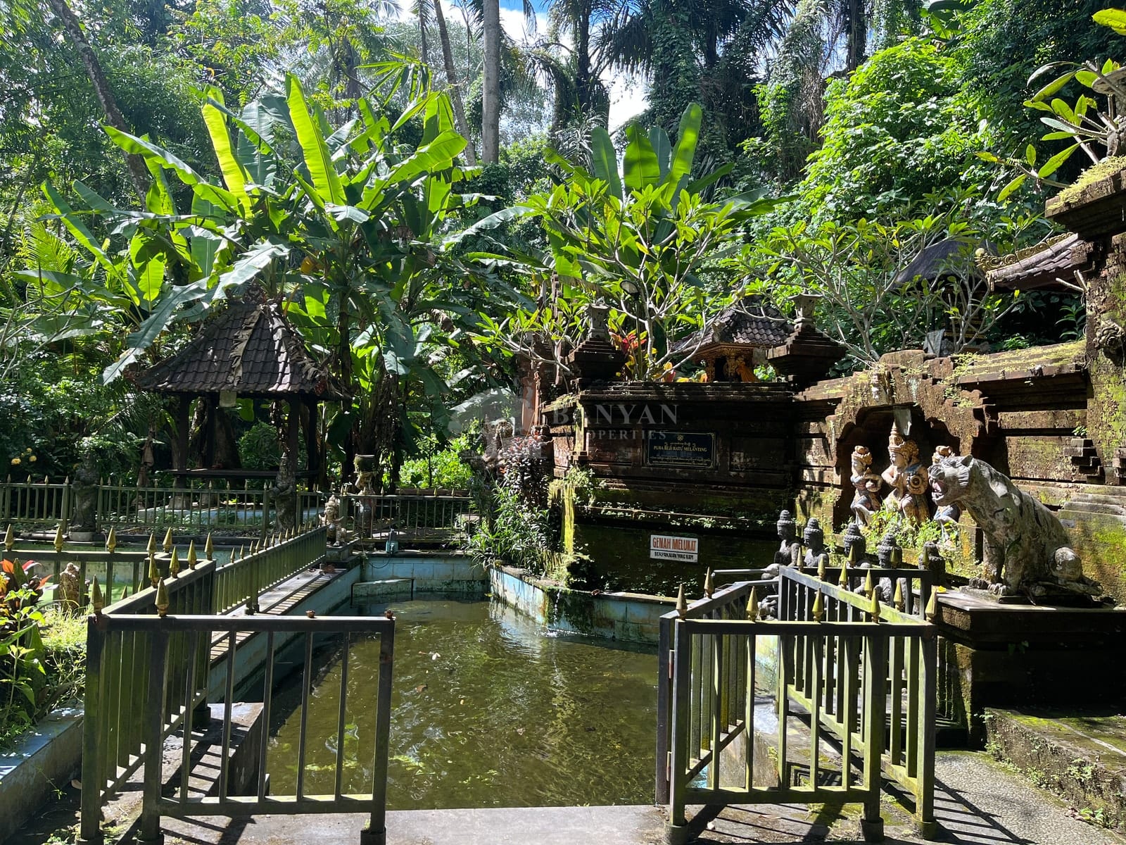 6 are Sayan (back of water temple / Turner land) - 6 are in Sayan located near a Water Temple — photo 4 of 5