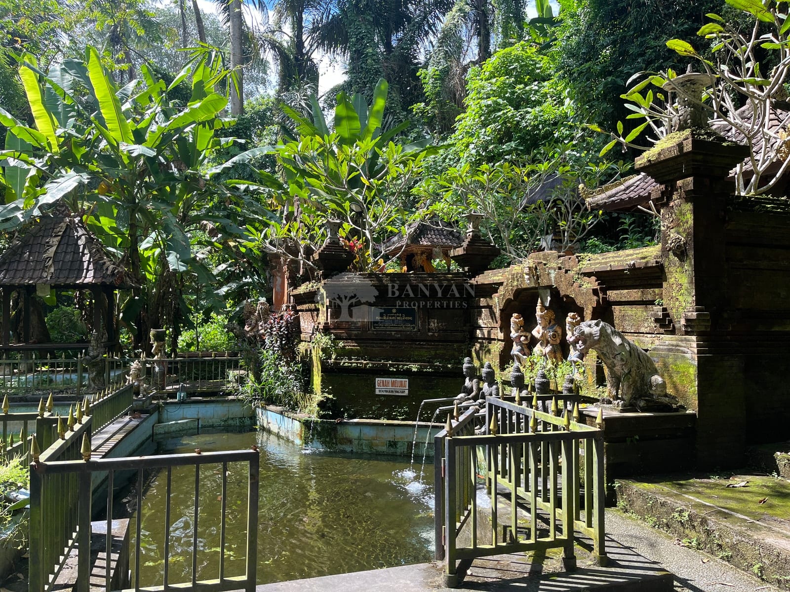 6 are Sayan (back of water temple / Turner land) - 6 are in Sayan located near a Water Temple — photo 5 of 5