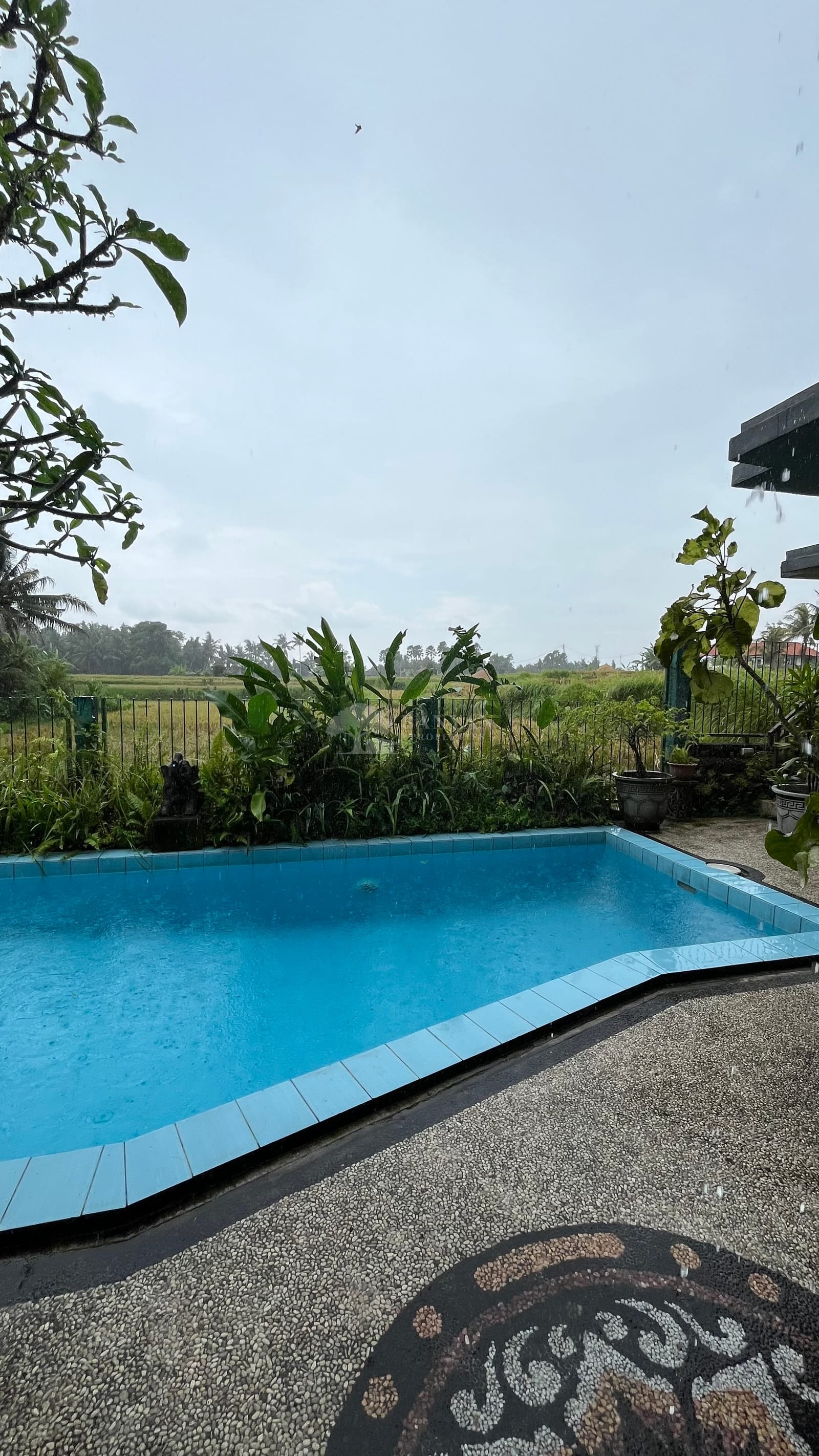 Alke Villa — photo 19 of 25