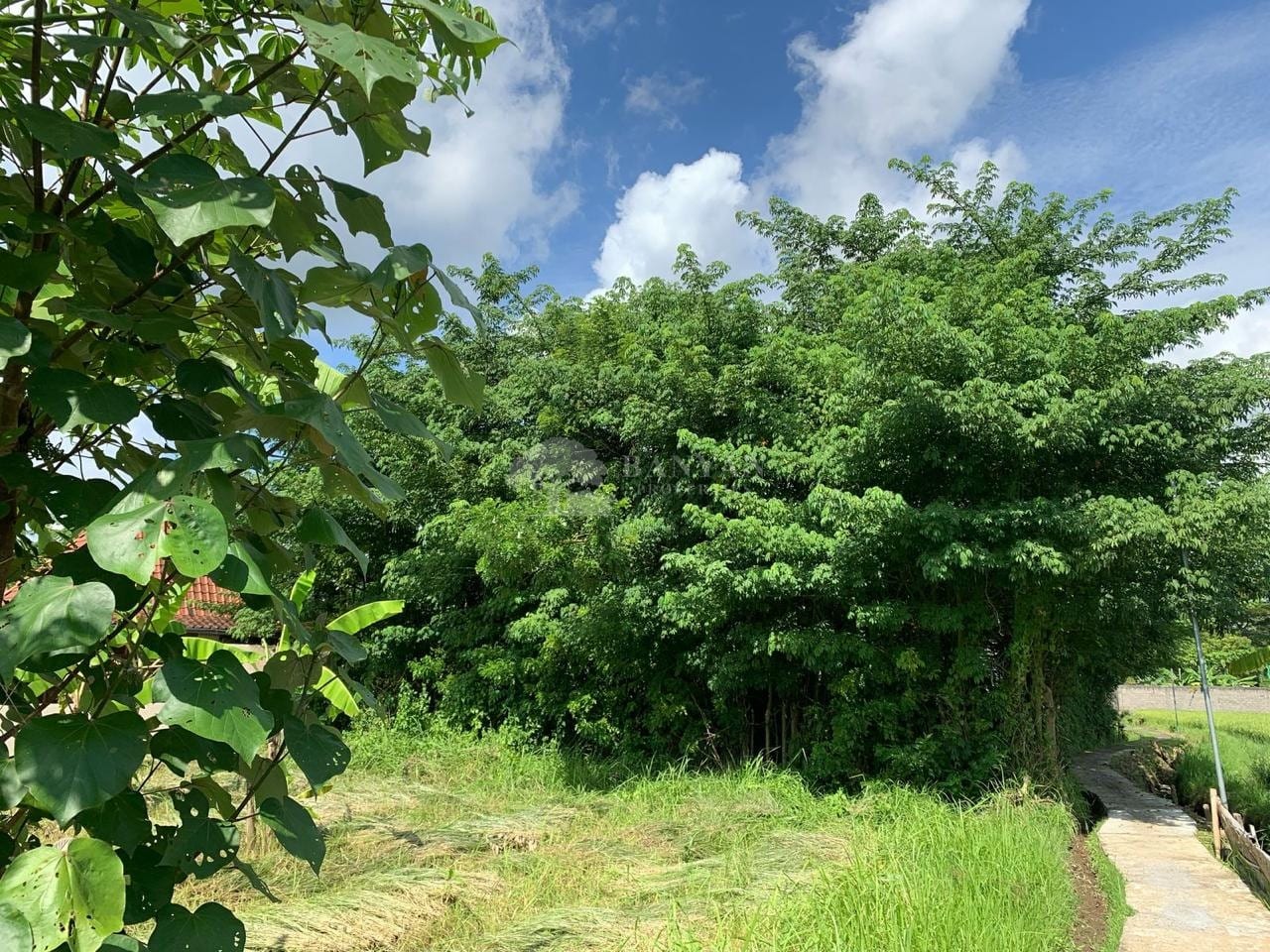 24.5 Are Pink Zone Land in Sayan — photo 3 of 7