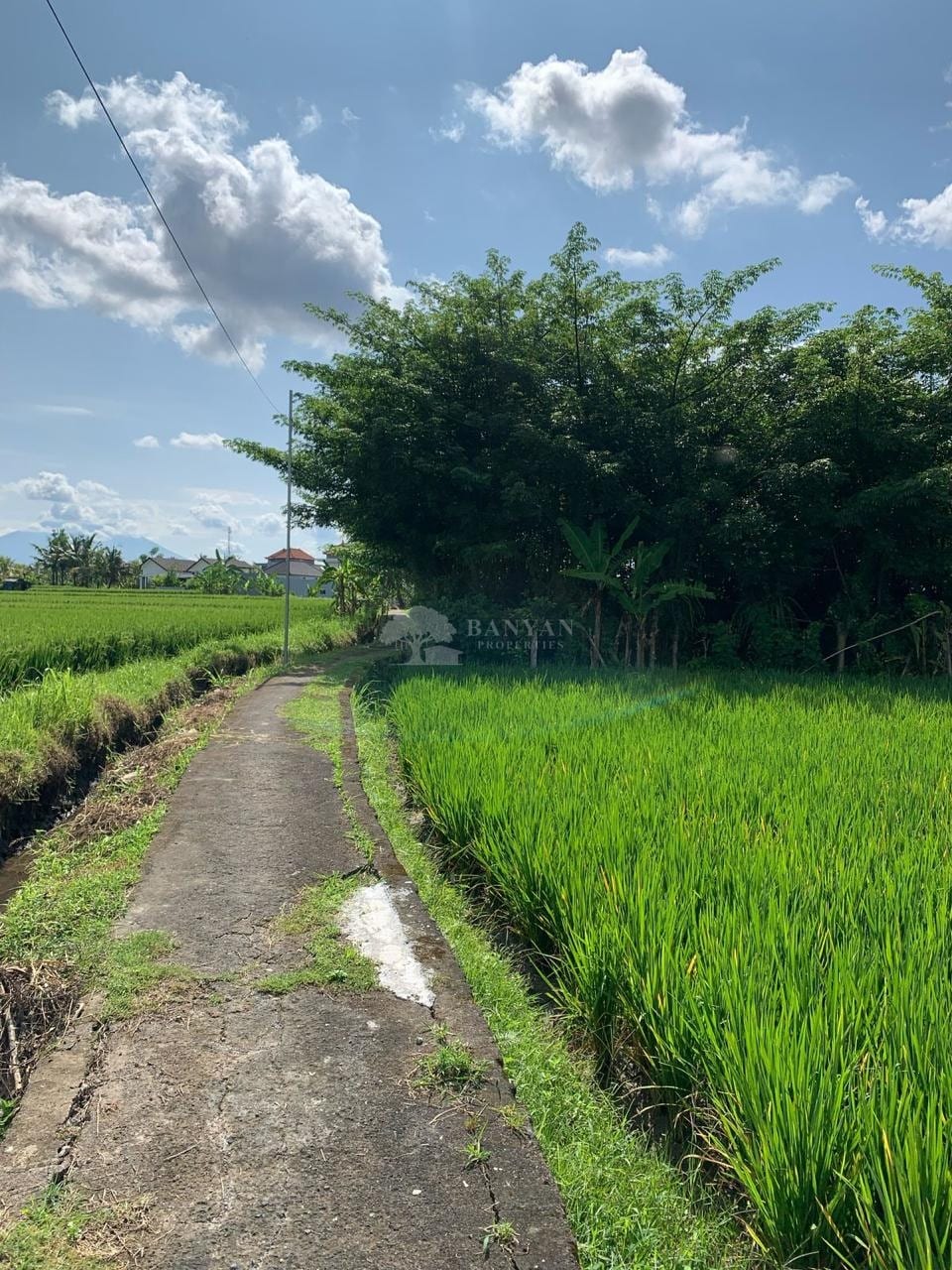 24.5 Are Pink Zone Land in Sayan — photo 6 of 7