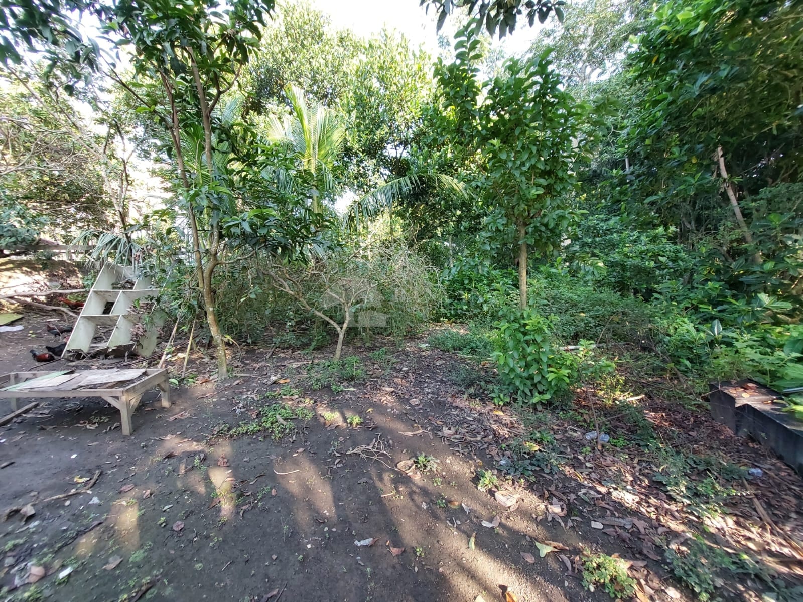 18 are Nyuh Kuning - Prime Location Land Opportunity in Nyuh Kuning, Ubud