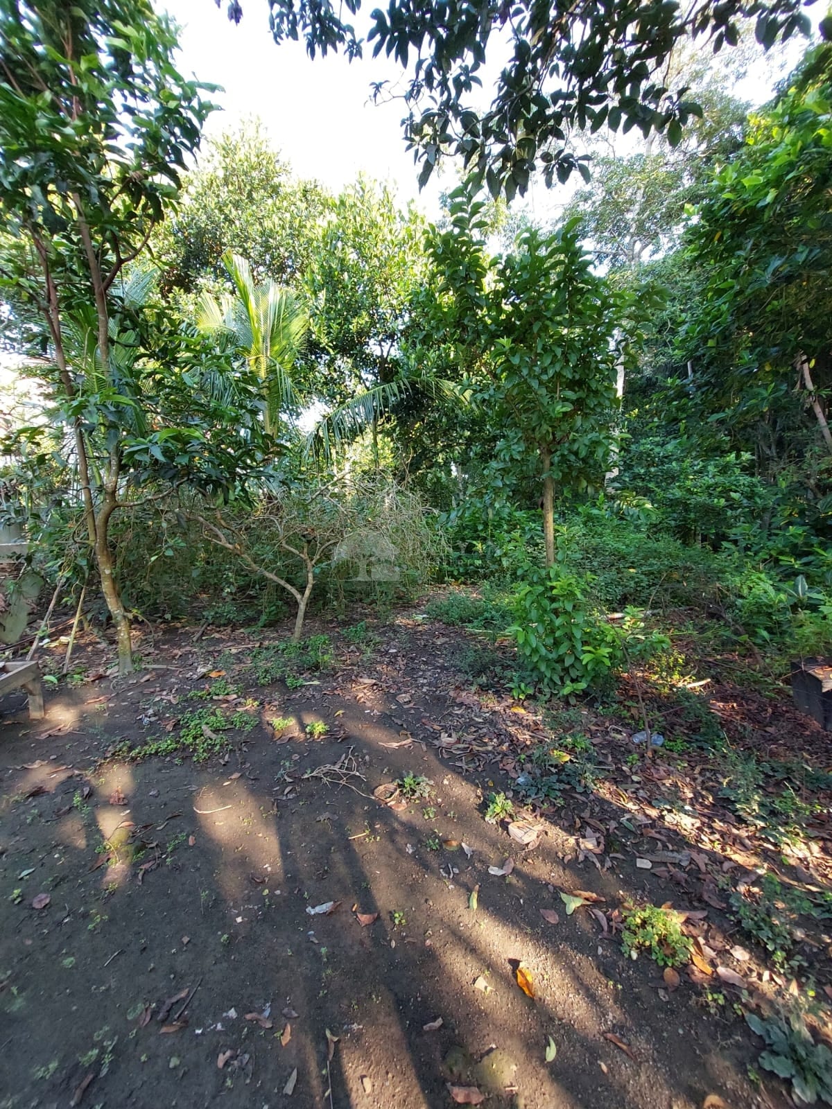 18 are Nyuh Kuning - Prime Location Land Opportunity in Nyuh Kuning, Ubud — photo 2 of 2