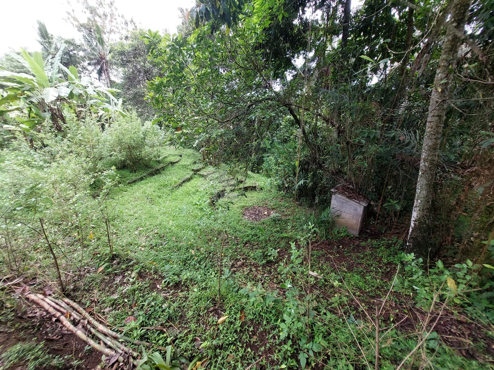 20 are Singakerta (Uma’s Land) - Serene 20are Leasehold in Singakerta — photo 4 of 6