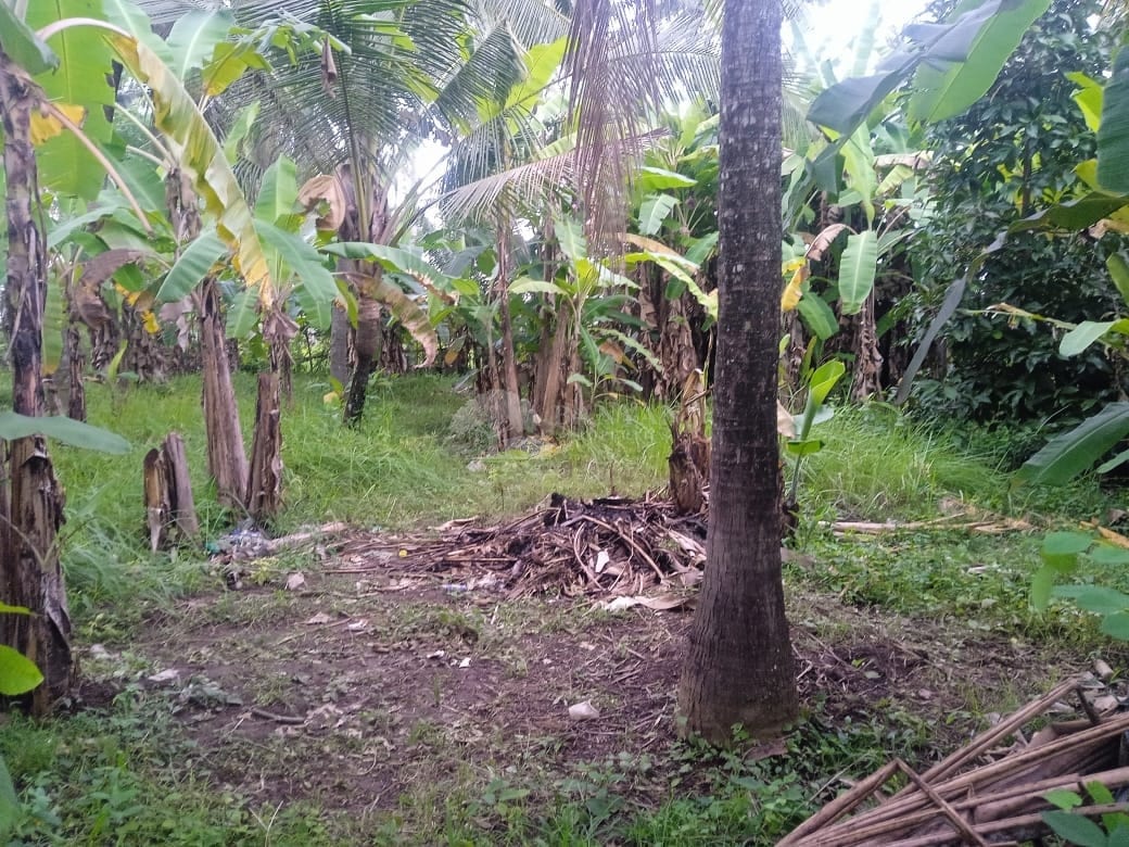 3-6 Are Tropical Land in Lodtunduh - 3-6 Are Tropical Leasehold Land in Lodtunduh – Jungle Vibes, Rice Field Views & Central Location