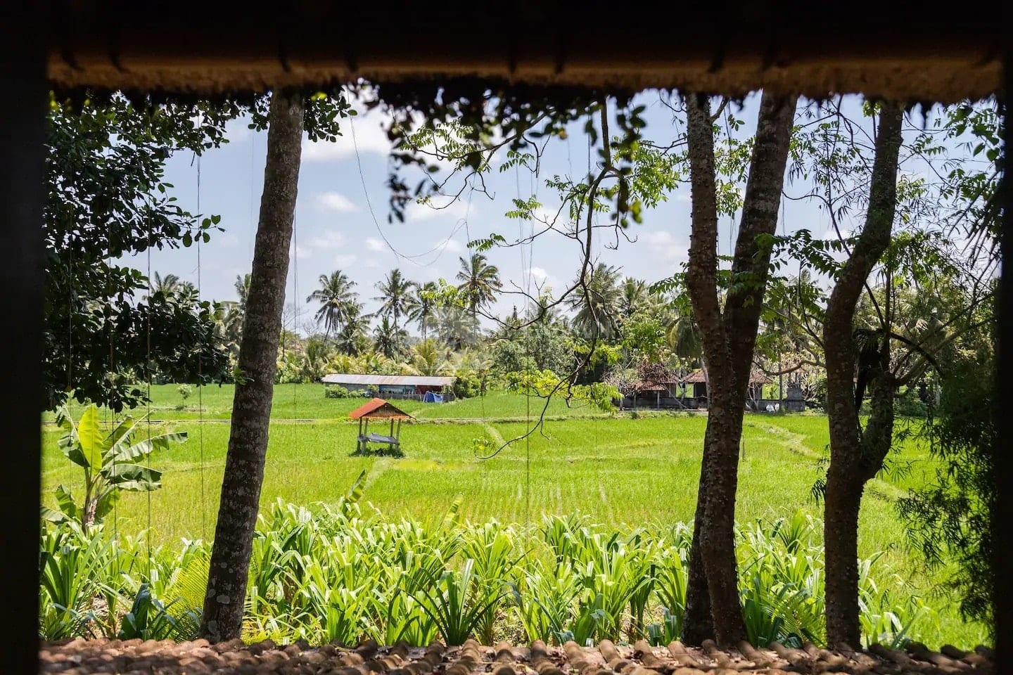 Damai Eco Villa — photo 17 of 18