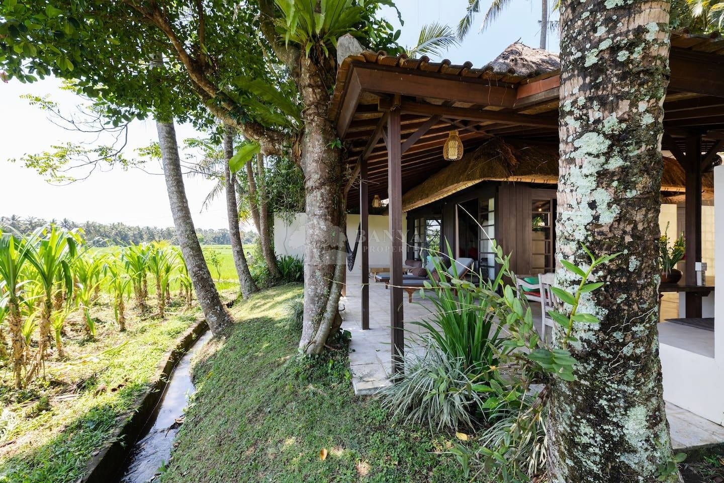 Damai Eco Villa — photo 3 of 18