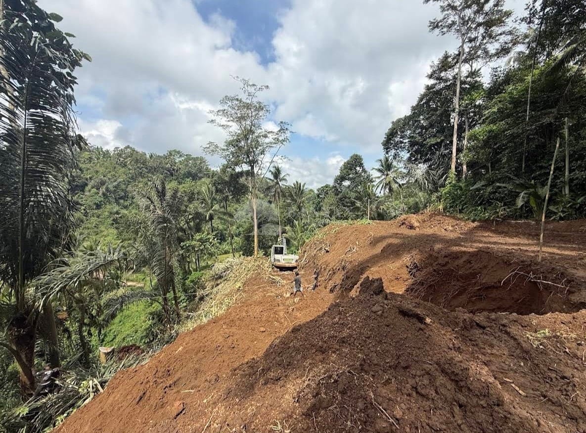 Leasehold Land with 2 Buildings at 40% Completion — Kedisan, Tegallalang, Bali — photo 10 of 10