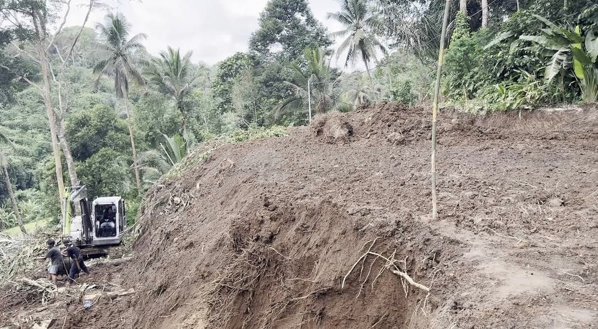 Leasehold Land with 2 Buildings at 40% Completion — Kedisan, Tegallalang, Bali — photo 6 of 10