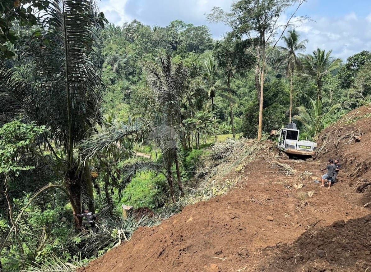 Leasehold Land with 2 Buildings at 40% Completion — Kedisan, Tegallalang, Bali — photo 8 of 10
