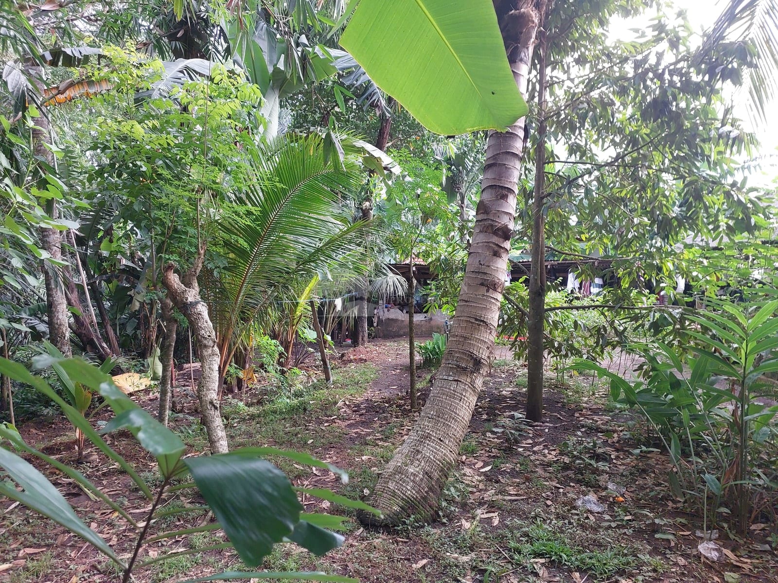 7 are Singakerta Warung Sate - 7 are Singakerta Along a Small River — photo 2 of 2