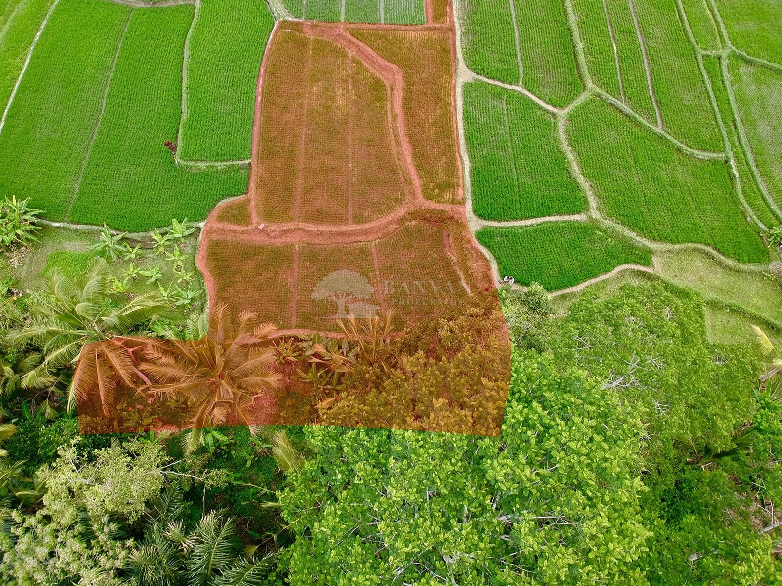 16 Are Freehold Sebatu - 16are Sebatu Freehold Land For Sale